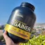 پرو گینر اپتیموم نوتریشن گلد استاندارد ۲.۳ کیلوگرم | Optimum Nutrition Gold Standard Pro Gainer 2.3 kg  پرو گینر اپتیموم نوتریشن گلد استاندارد ۲.۳ کیلوگرم | Optimum Nutrition Gold Standard Pro Gainer 2.3 kg-سم7شاپ-sam7shop.ir