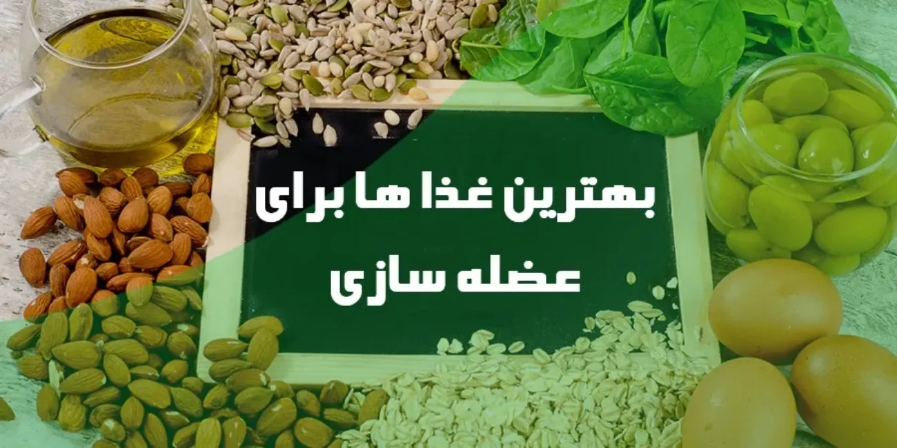 بهترین غذا ها برای عضله سازی (جدول معرفی غذا) بهترین غذا ها برای عضله سازی (جدول معرفی غذا)