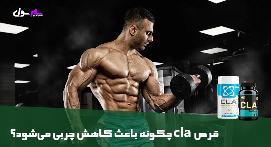 قرص cla چگونه باعث کاهش چربی میشود؟